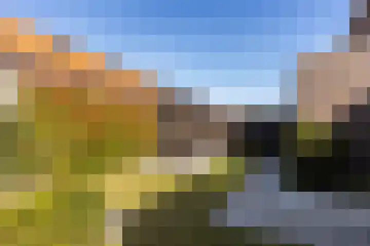Bijenlaan 18 Son en Breugel thumbnail 49