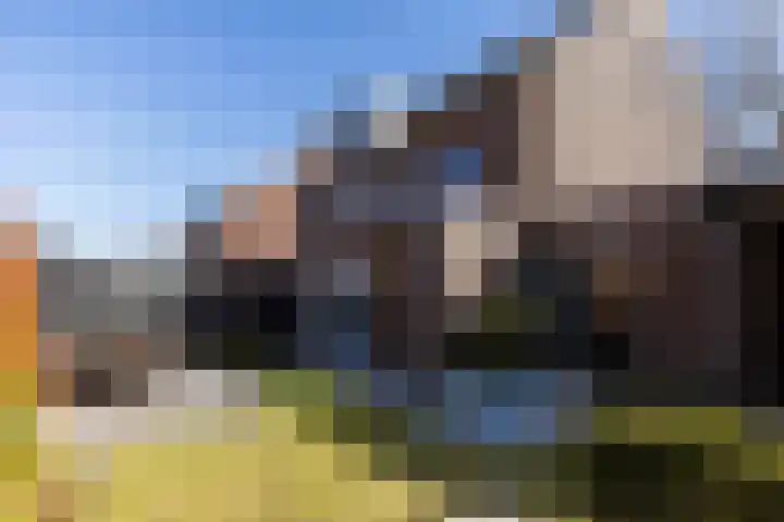 Bijenlaan 18 Son en Breugel thumbnail 5