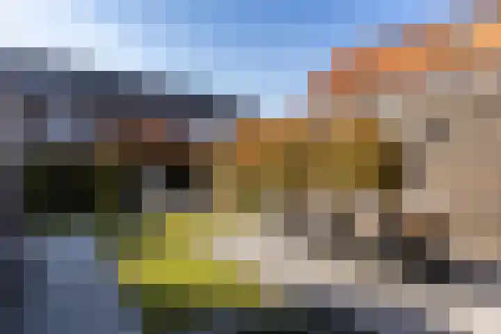 Bijenlaan 18 Son en Breugel thumbnail 51