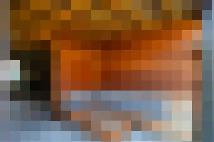 Bijenlaan 18 Son en Breugel thumbnail 54