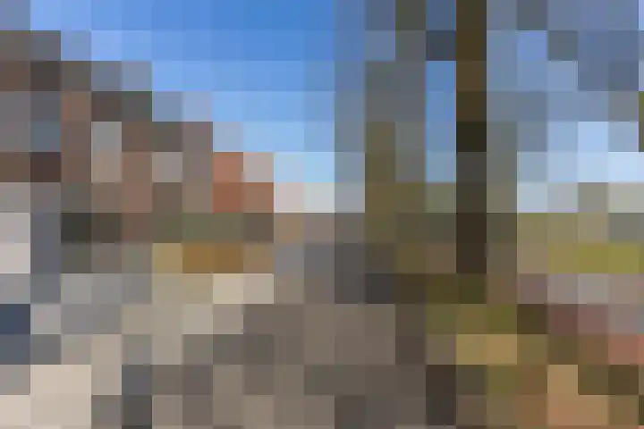 Bijenlaan 18 Son en Breugel thumbnail 58