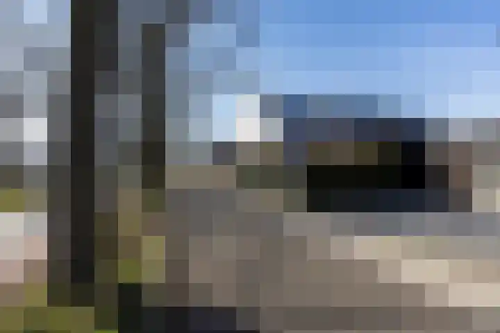 Bijenlaan 18 Son en Breugel thumbnail 59