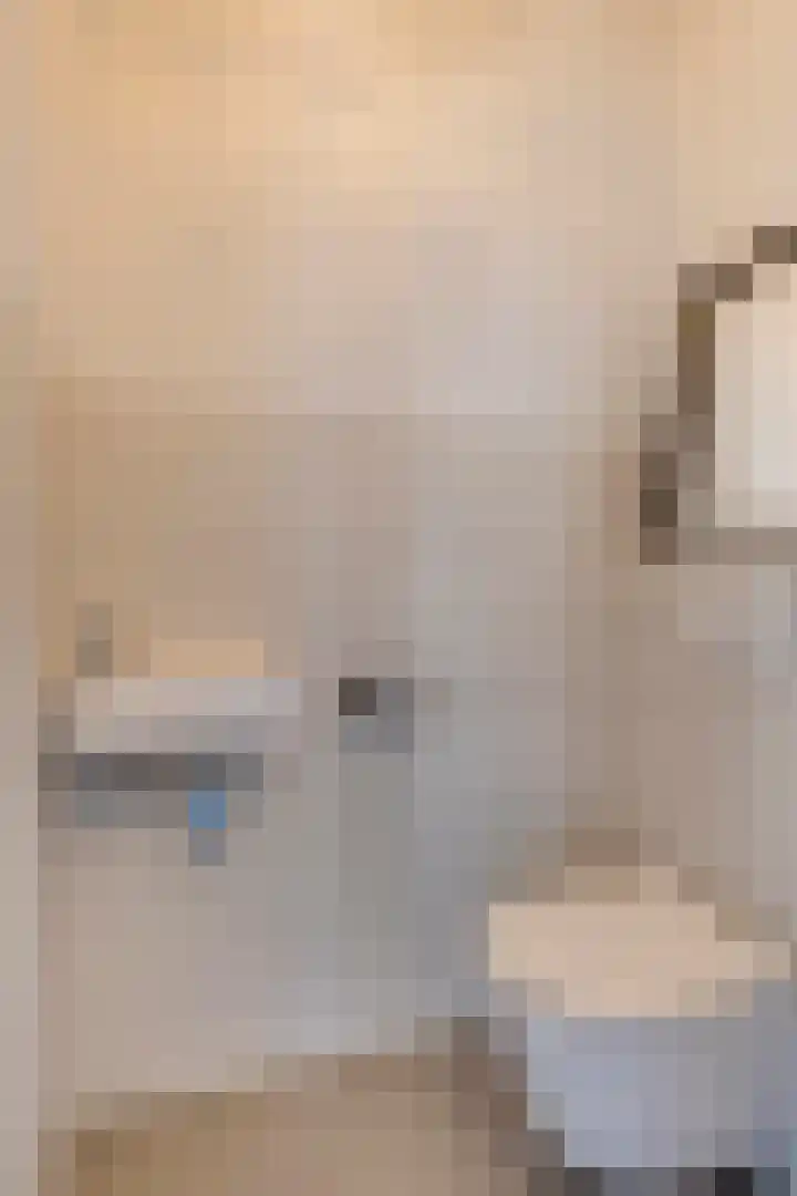 Bijenlaan 18 Son en Breugel thumbnail 8
