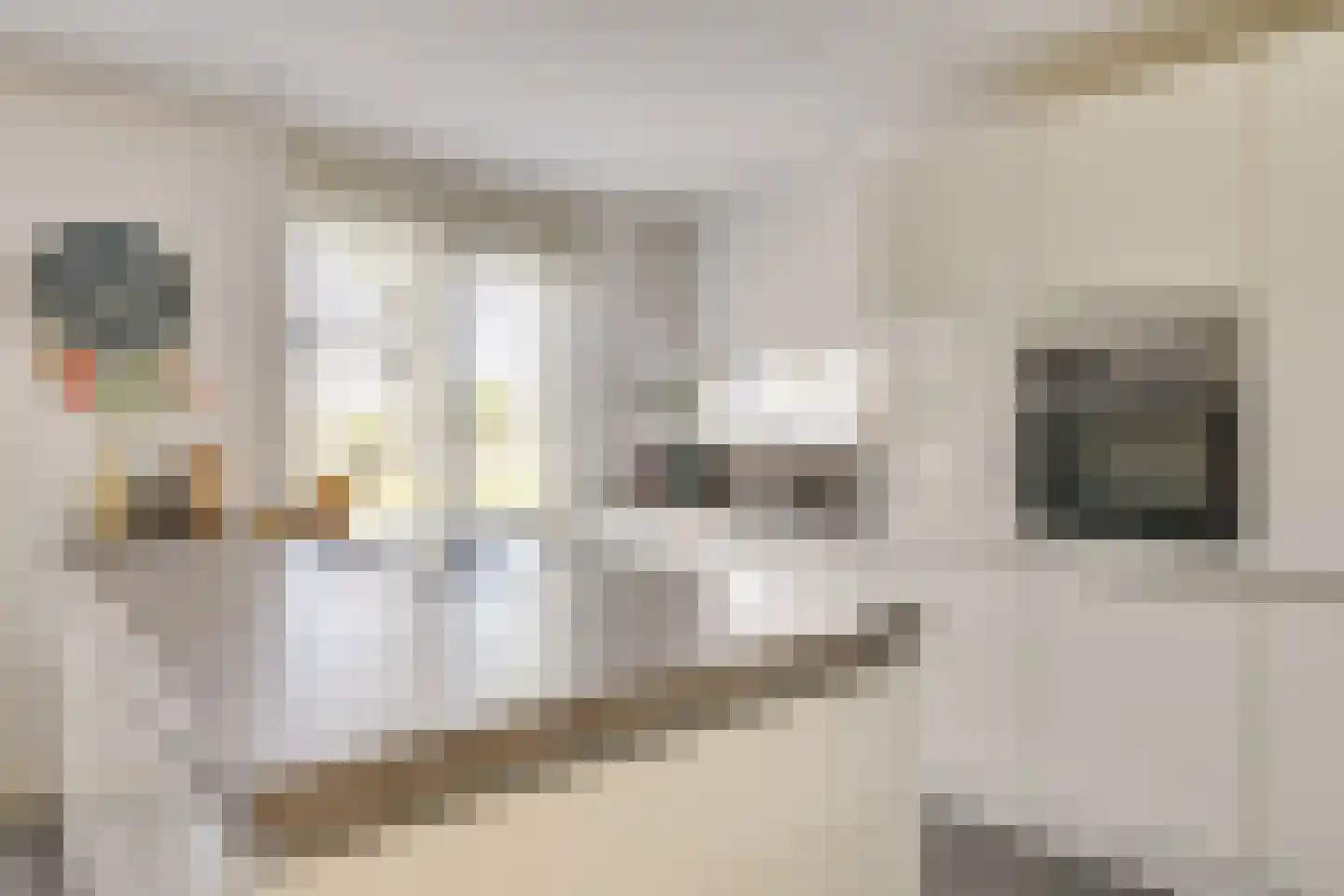 Bijenlaan 19 Son en Breugel thumbnail 12