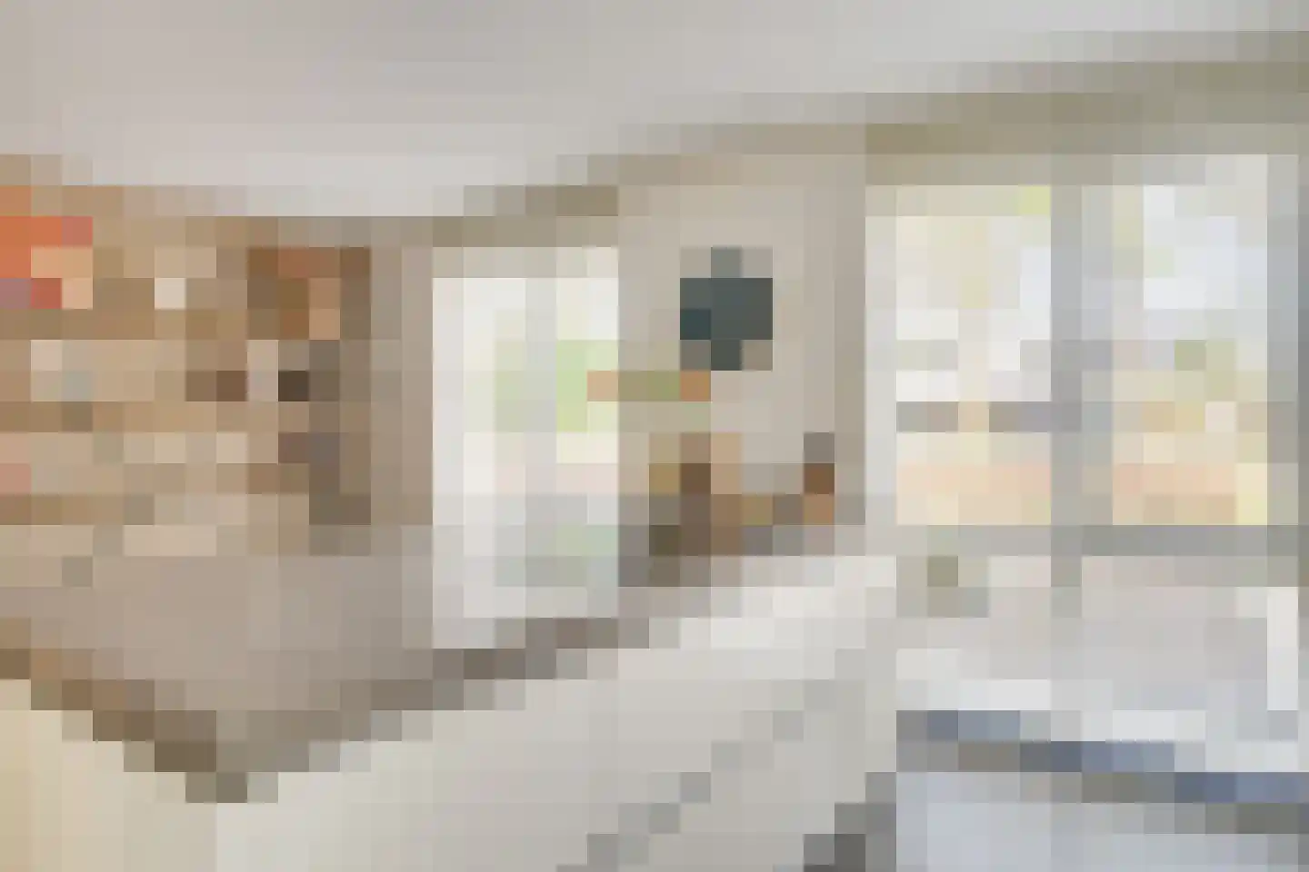 Bijenlaan 19 Son en Breugel thumbnail 14