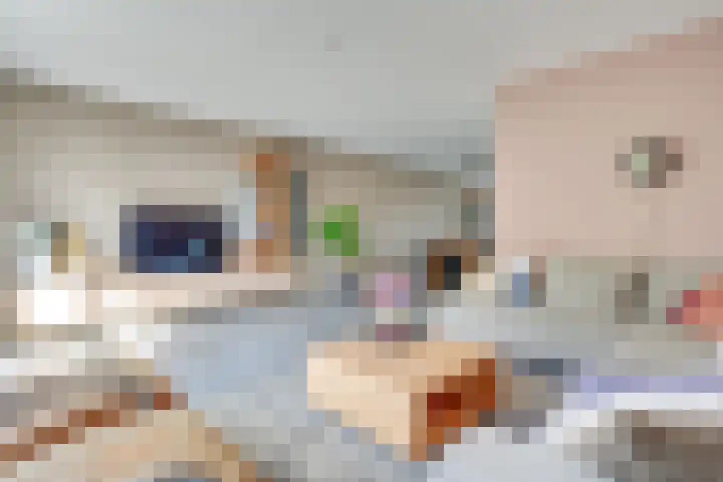 Bijenlaan 19 Son en Breugel thumbnail 17