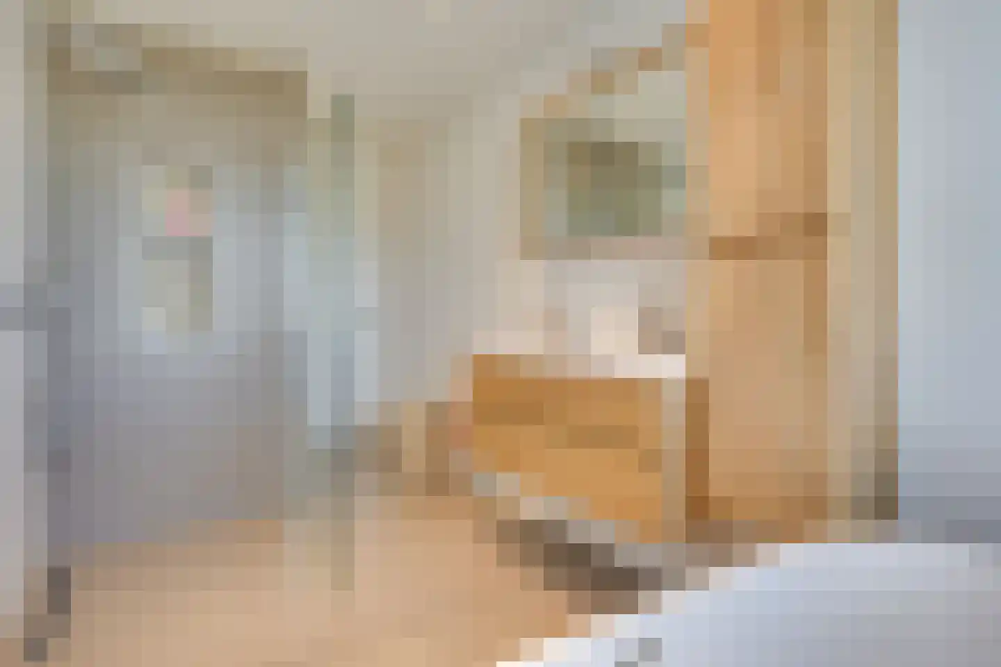 Bijenlaan 19 Son en Breugel thumbnail 28
