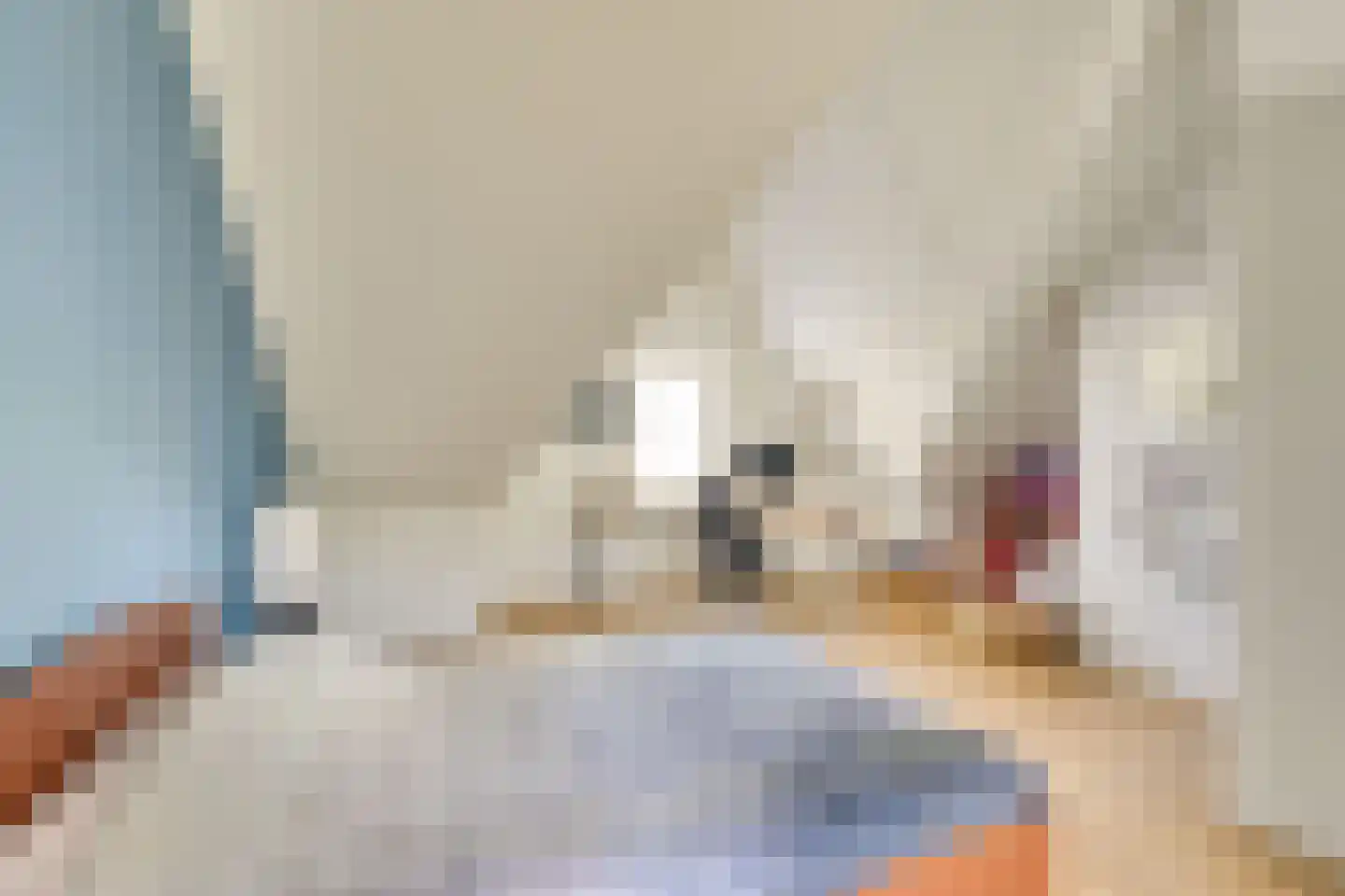 Bijenlaan 19 Son en Breugel thumbnail 36