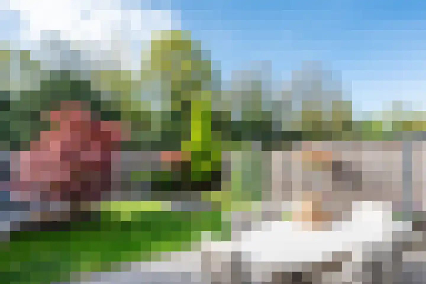 Bijenlaan 19 Son en Breugel thumbnail 42
