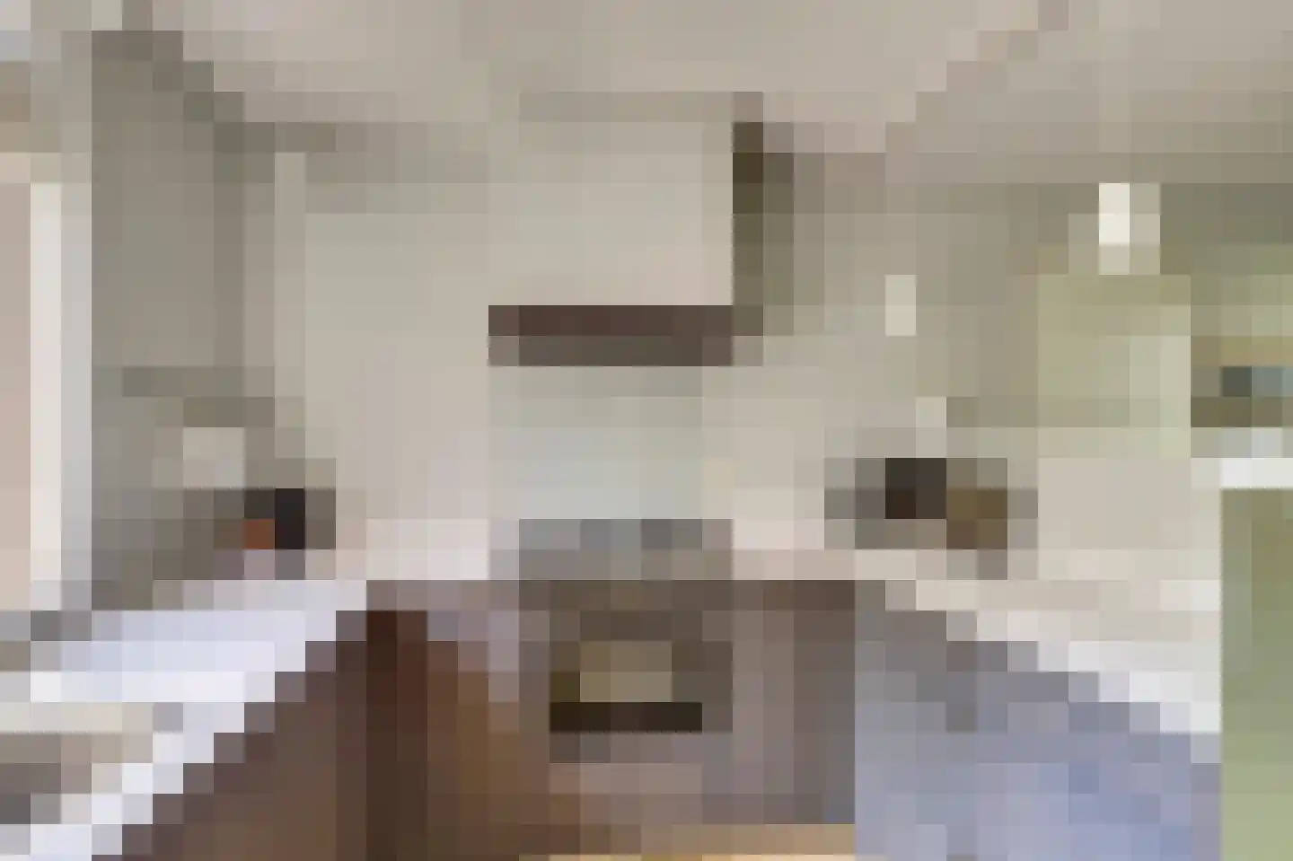 Bijenlaan 29 Leersum thumbnail 23