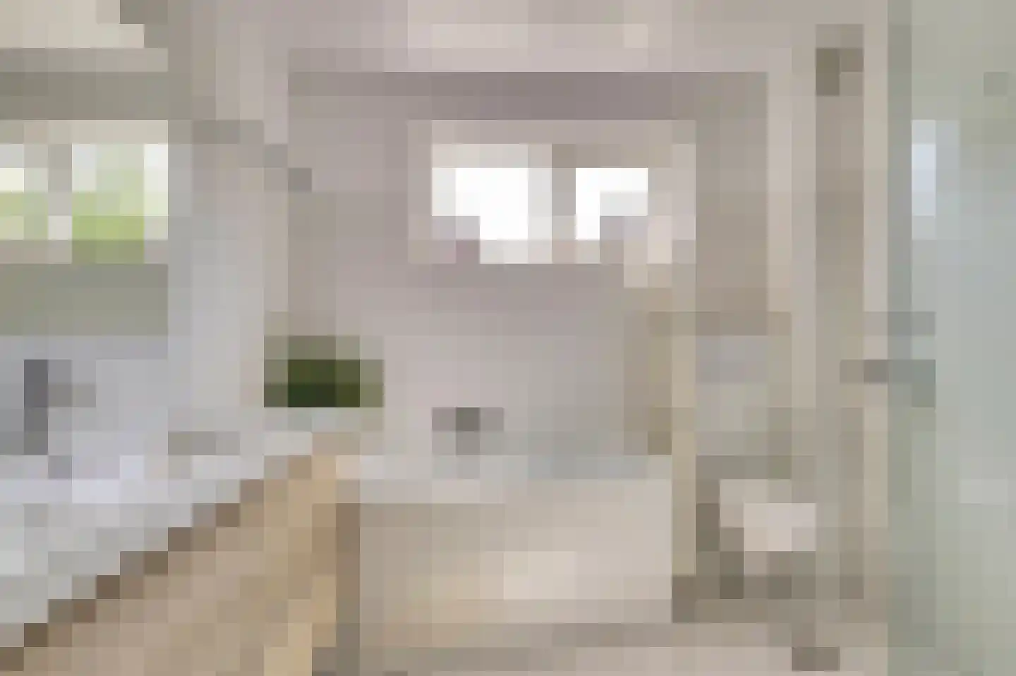 Bijenlaan 29 Leersum thumbnail 30