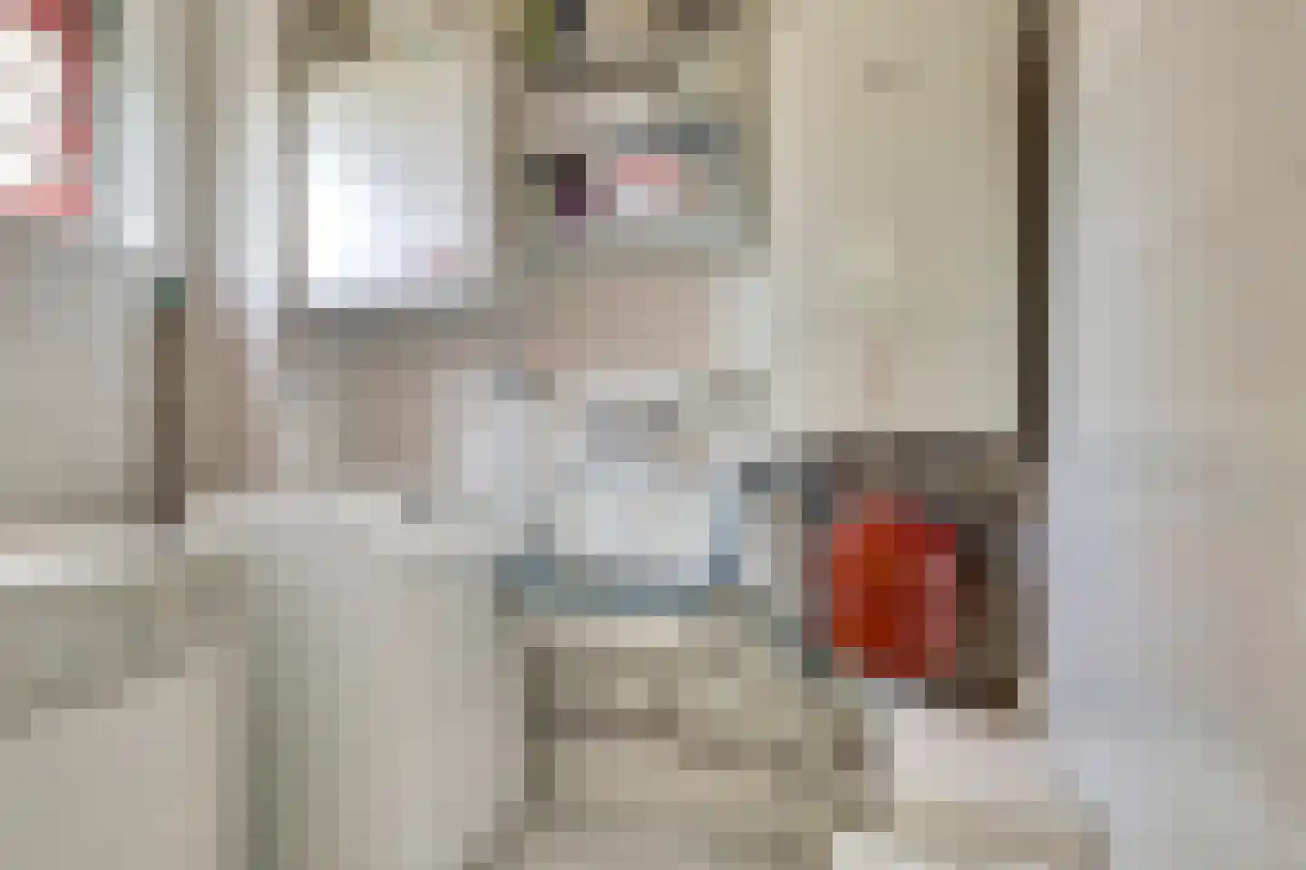 Bijenlaan 29 Leersum thumbnail 32