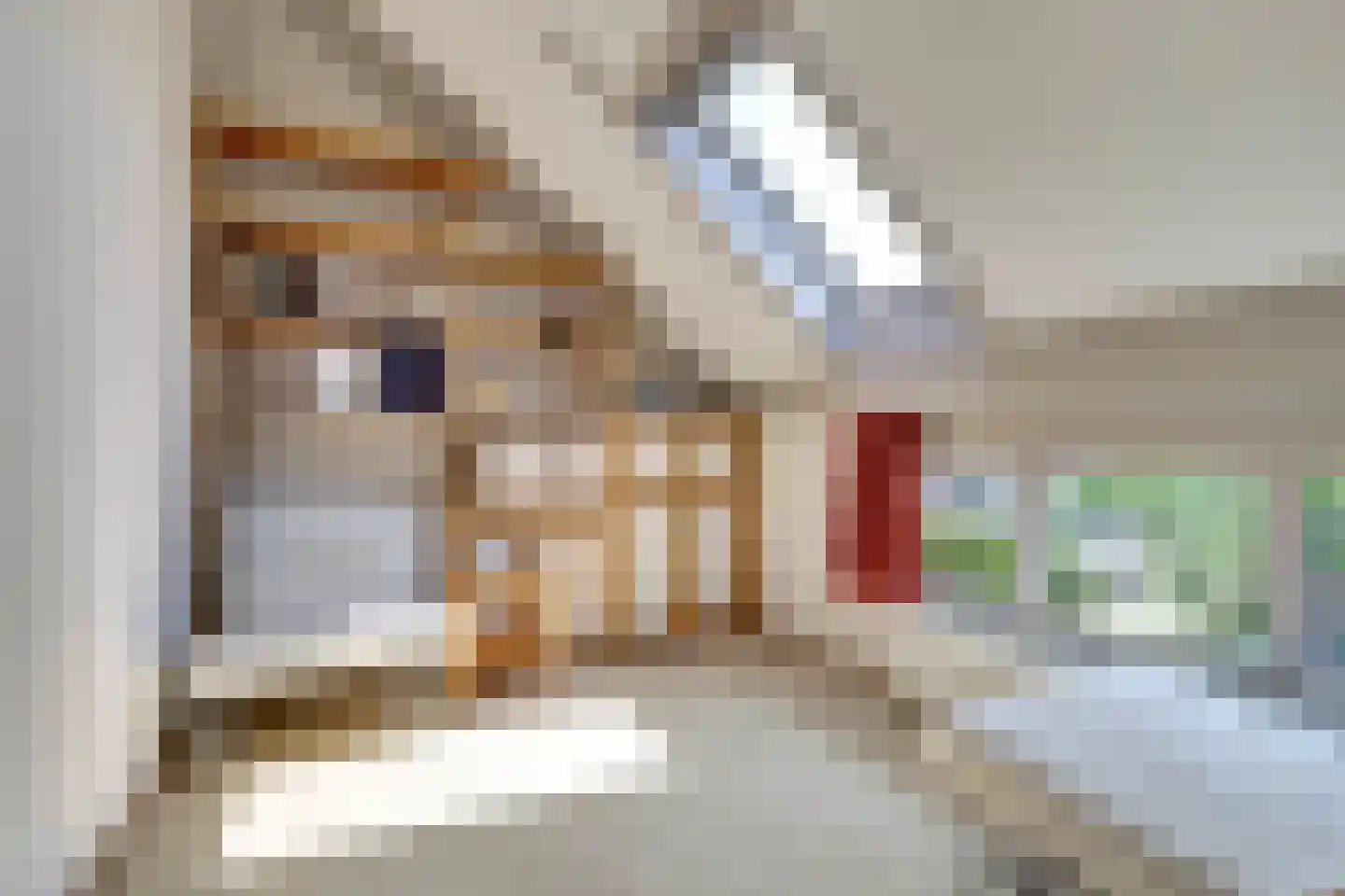 Bijenlaan 29 Leersum thumbnail 37