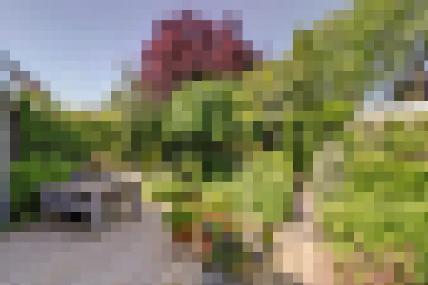 Bijenlaan 29 Leersum thumbnail 39