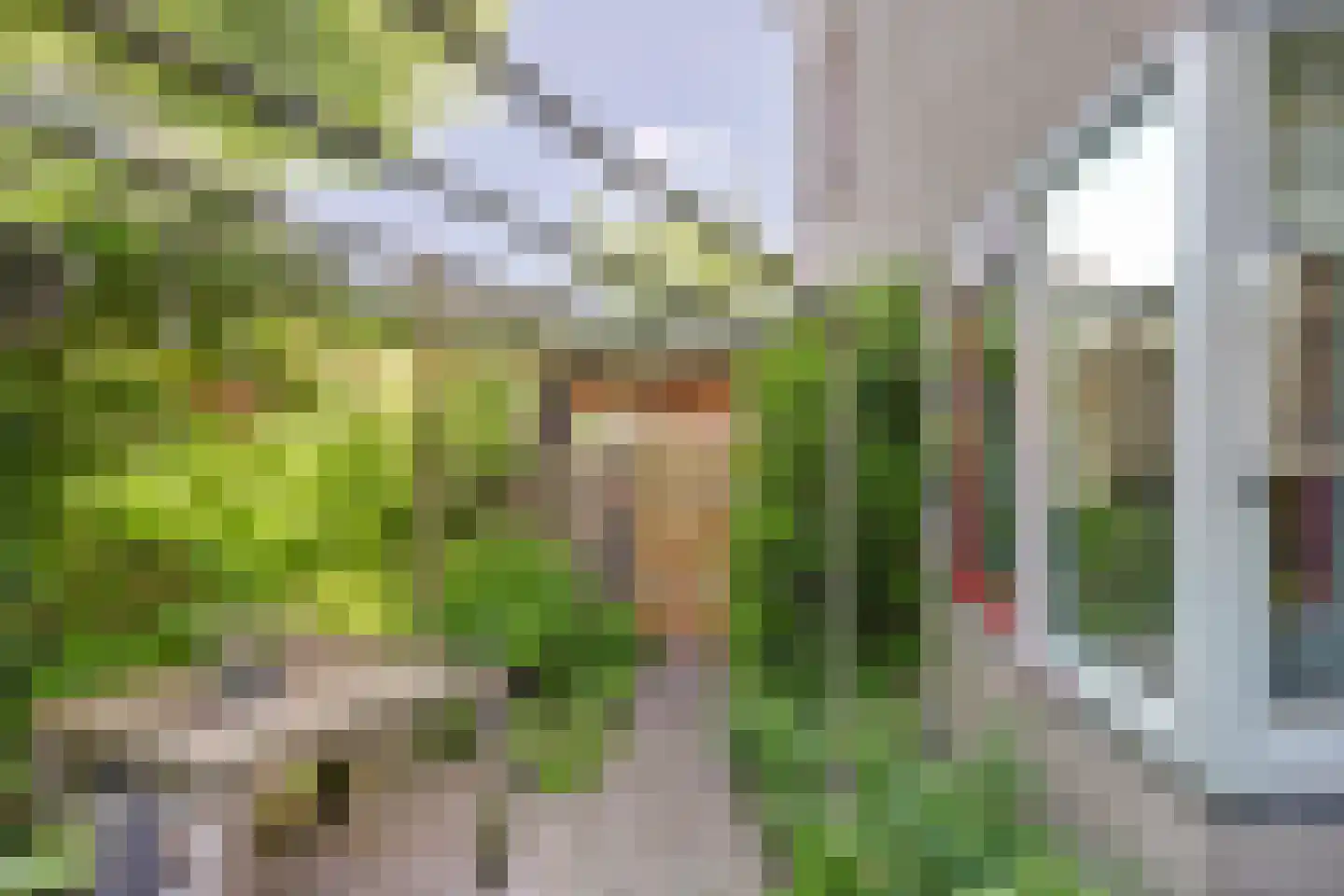 Bijenlaan 29 Leersum thumbnail 41