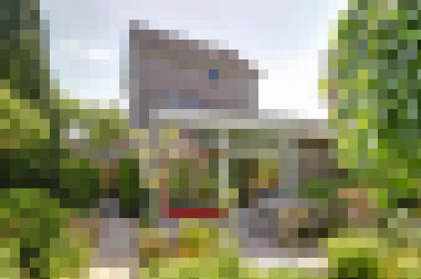 Bijenlaan 29 Leersum thumbnail 44