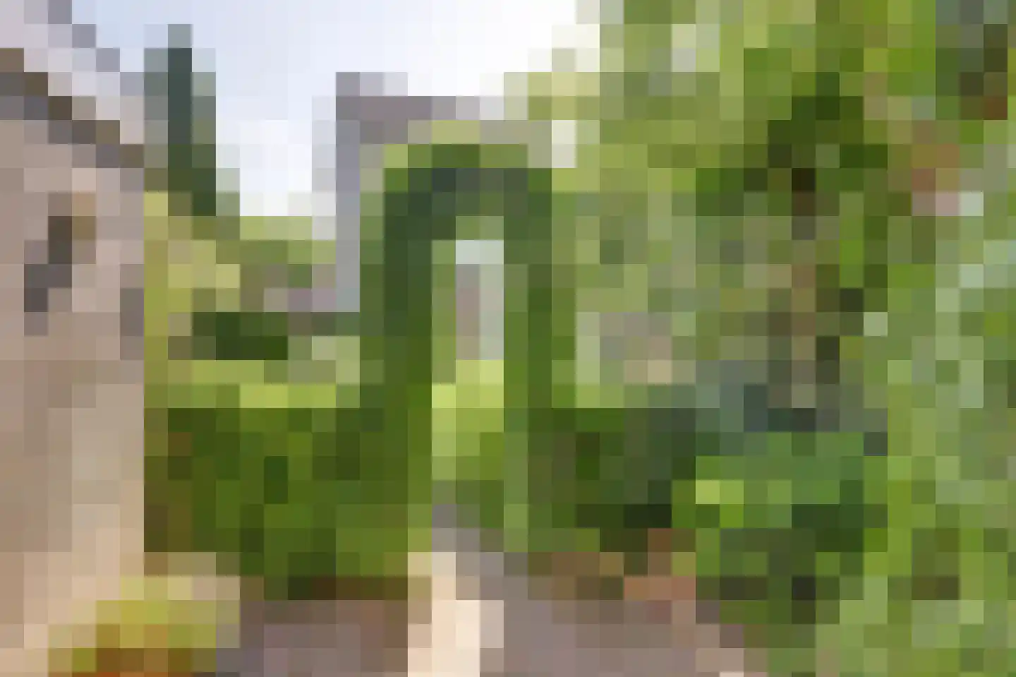 Bijenlaan 29 Leersum thumbnail 53