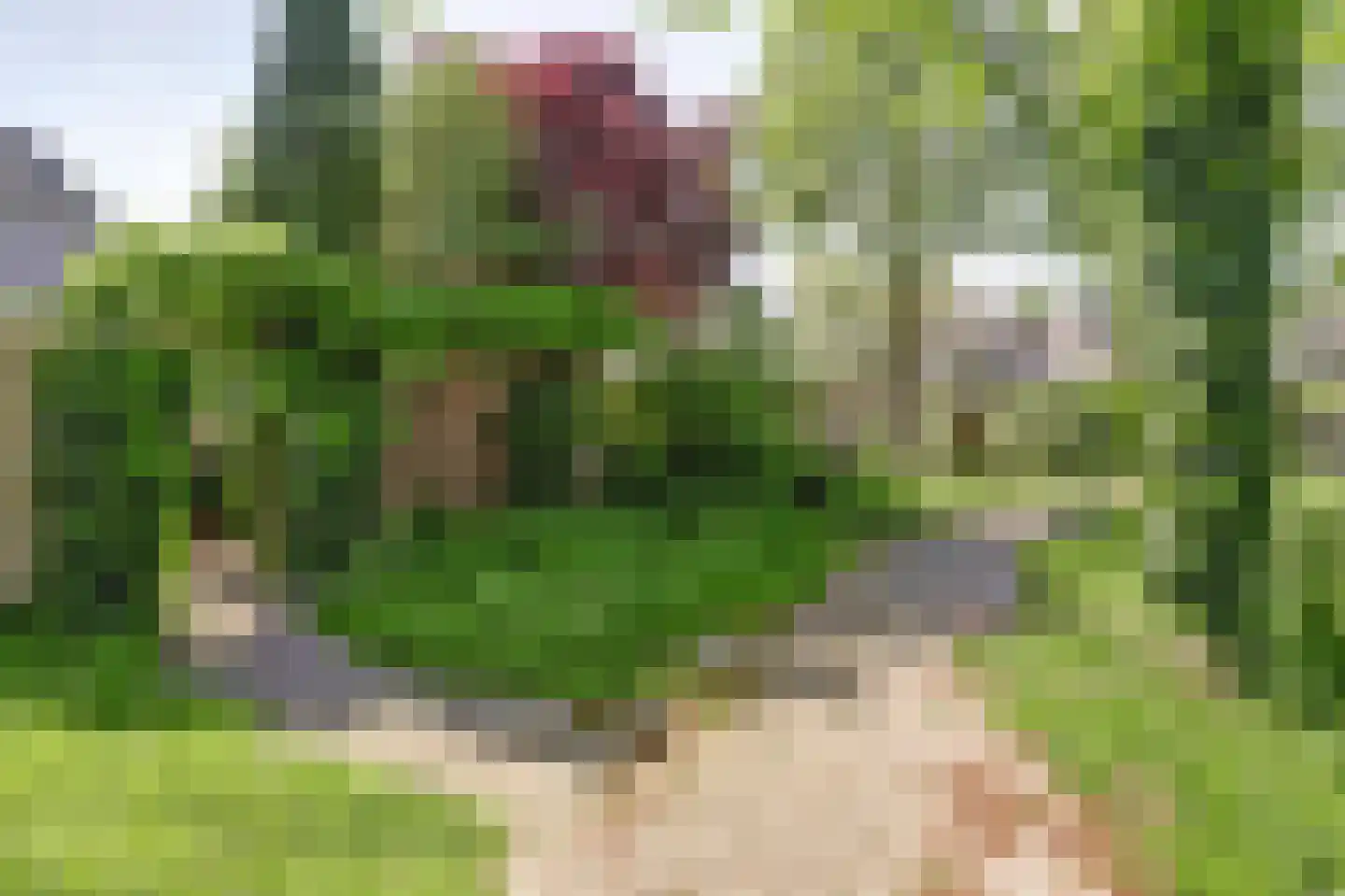 Bijenlaan 29 Leersum thumbnail 54
