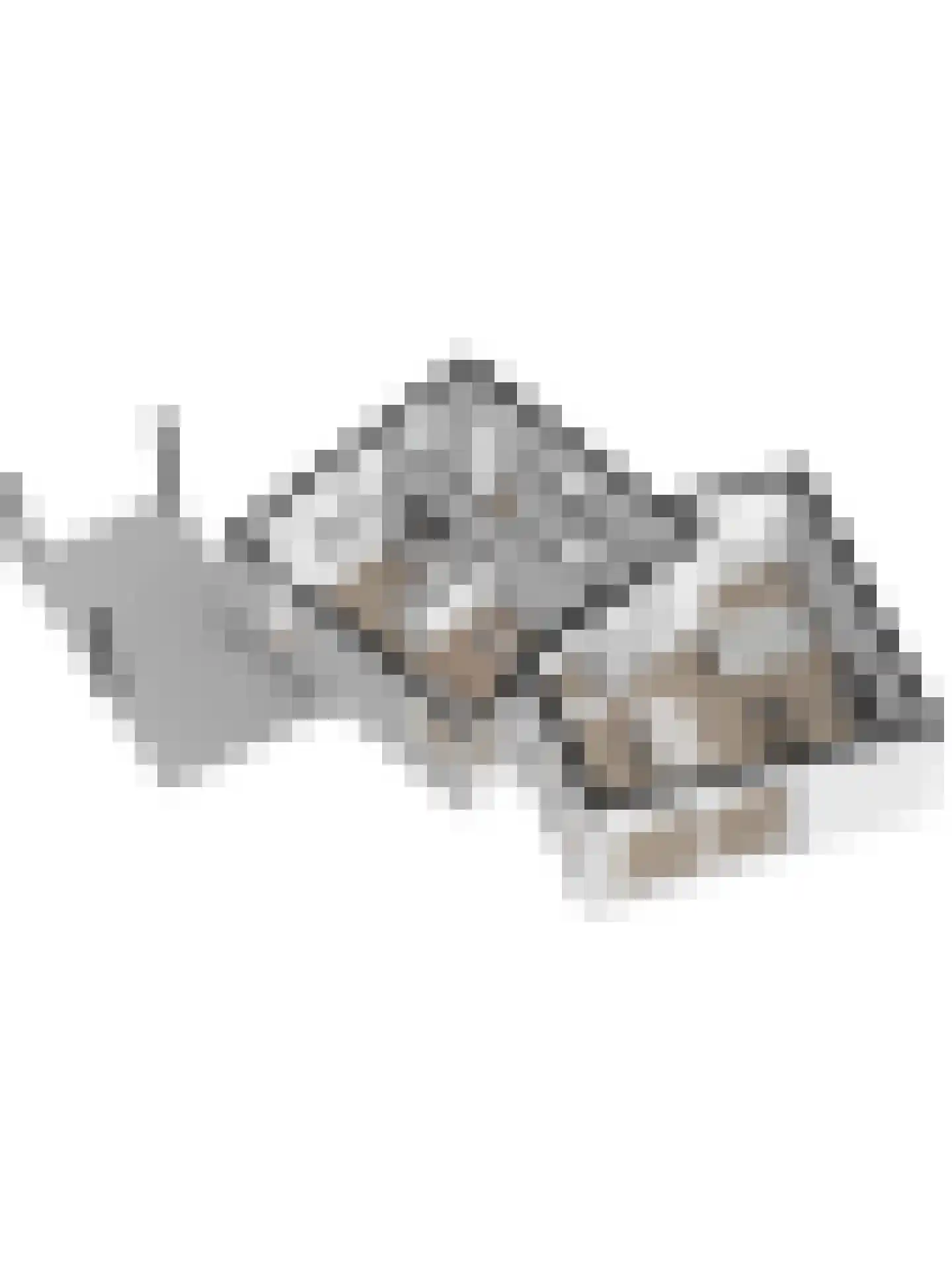 Bijenlaan 29 Leersum thumbnail 63