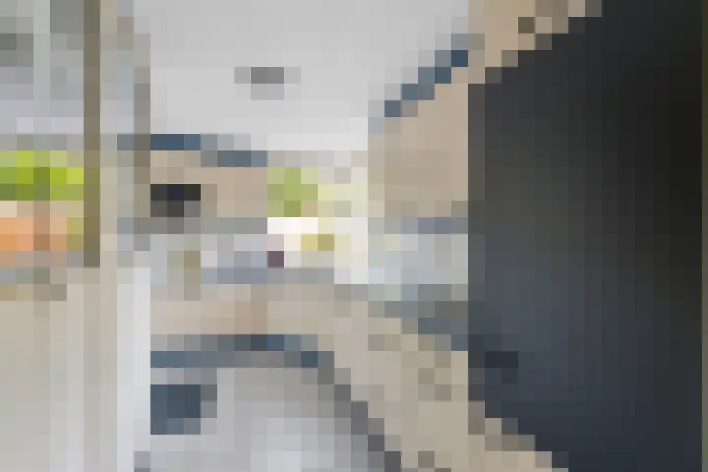 Bijenlaan 39 Leersum thumbnail 19