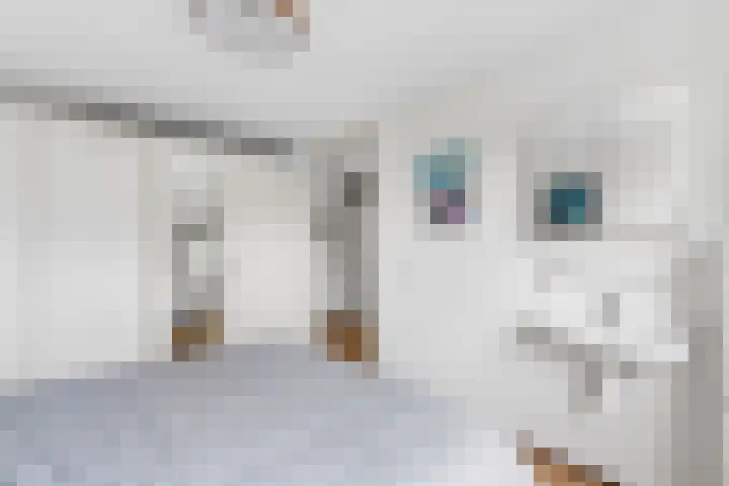 Bijenlaan 39 Leersum thumbnail 28