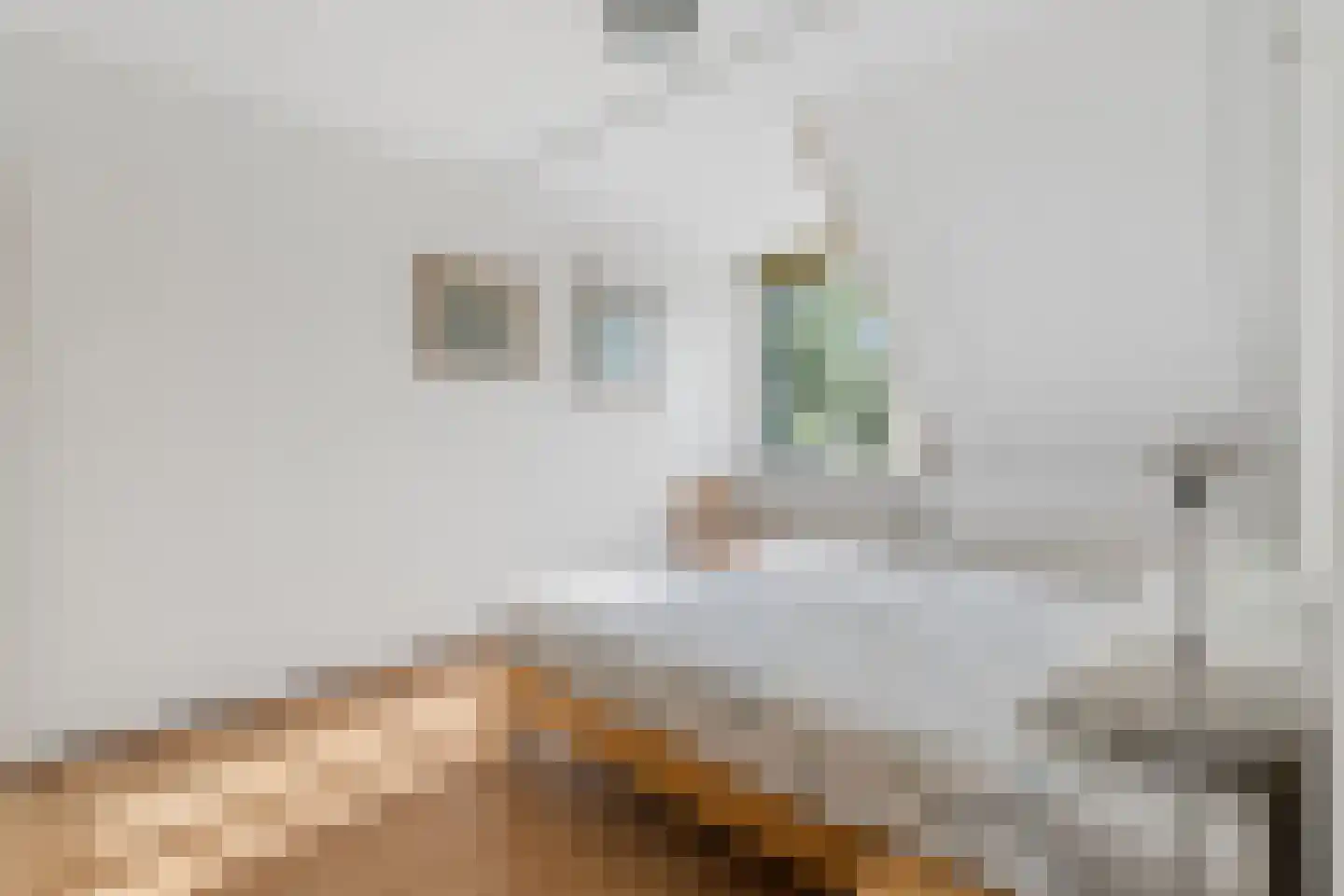 Bijenlaan 39 Leersum thumbnail 33