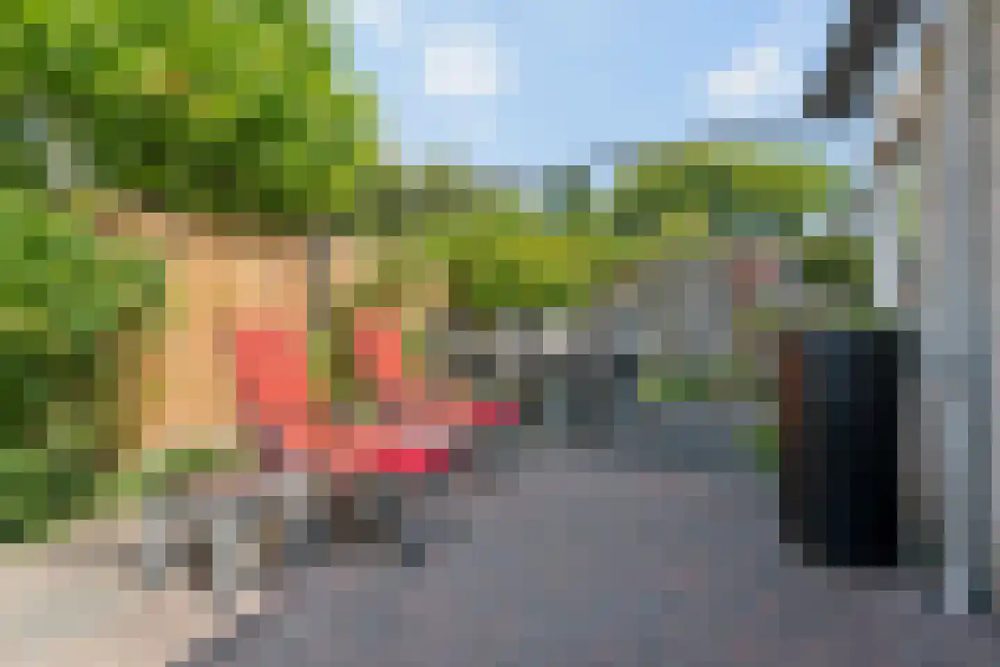 Bijenlaan 39 Leersum thumbnail 4