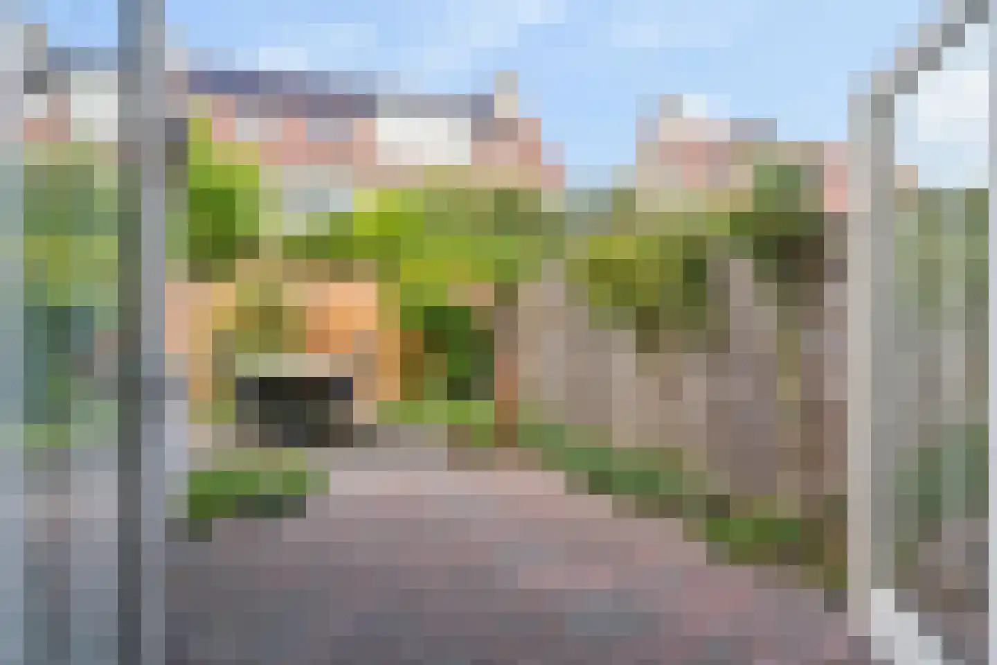 Bijenlaan 39 Leersum thumbnail 40