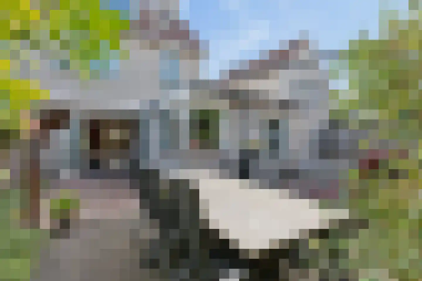 Bijenlaan 39 Leersum thumbnail 42