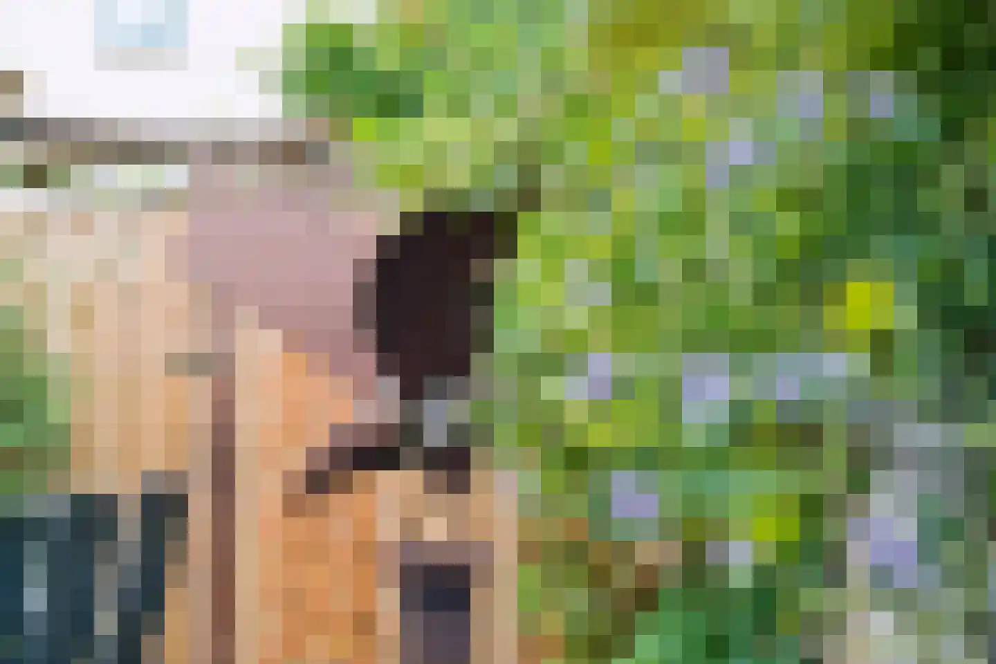 Bijenlaan 39 Leersum thumbnail 44