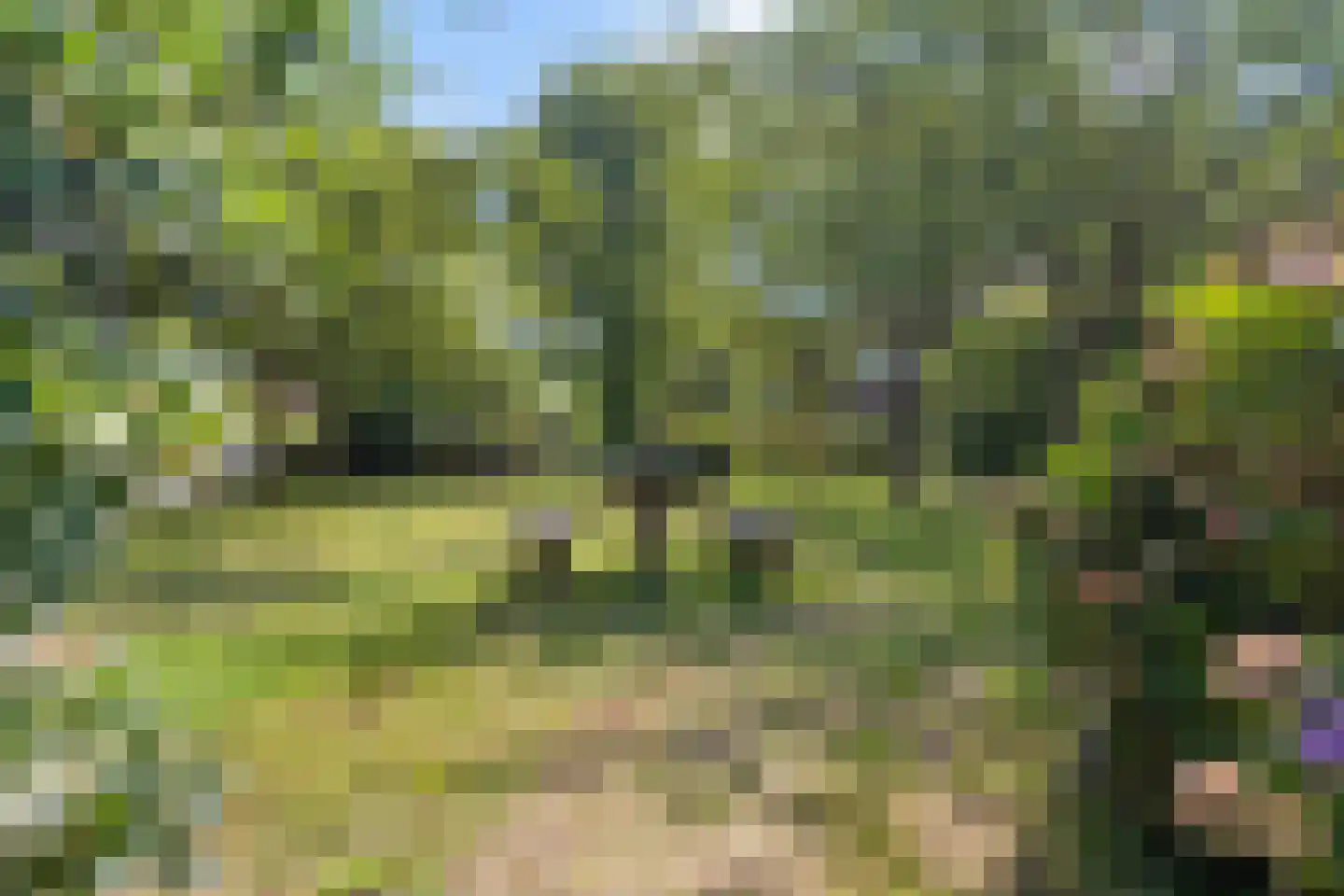 Bijenlaan 39 Leersum thumbnail 46