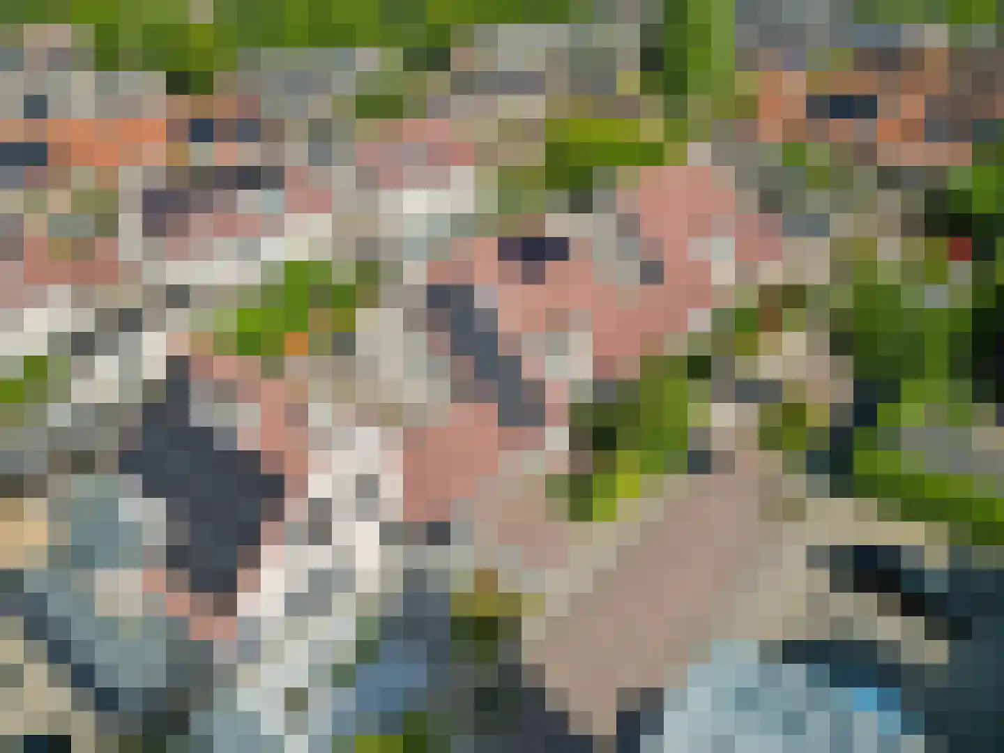 Bijenlaan 39 Leersum thumbnail 54