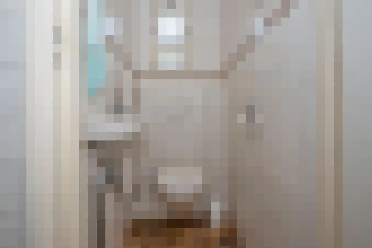 Bijenlaan 4 Weerselo thumbnail 13