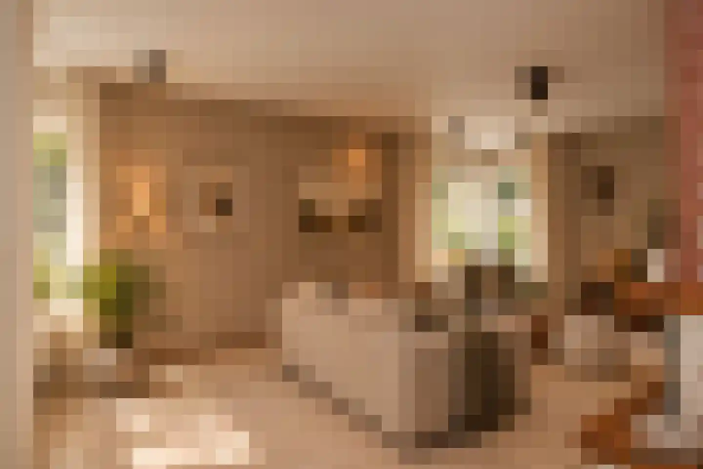 Bijenlaan 4 Weerselo thumbnail 13