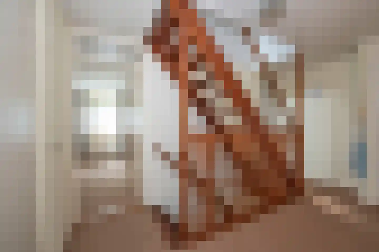 Bijenlaan 4 Weerselo thumbnail 14