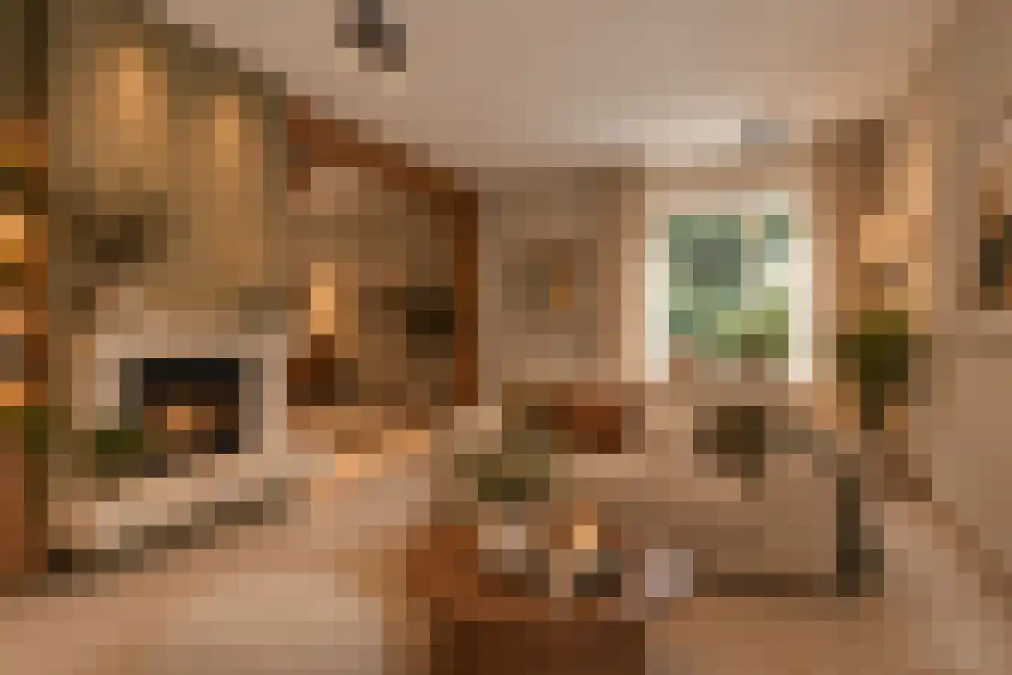 Bijenlaan 4 Weerselo thumbnail 15