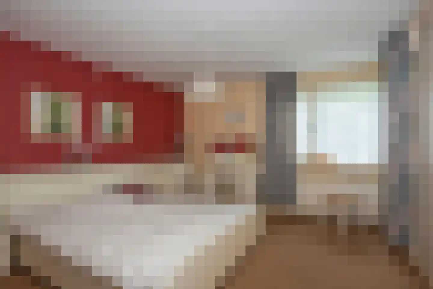 Bijenlaan 4 Weerselo thumbnail 15