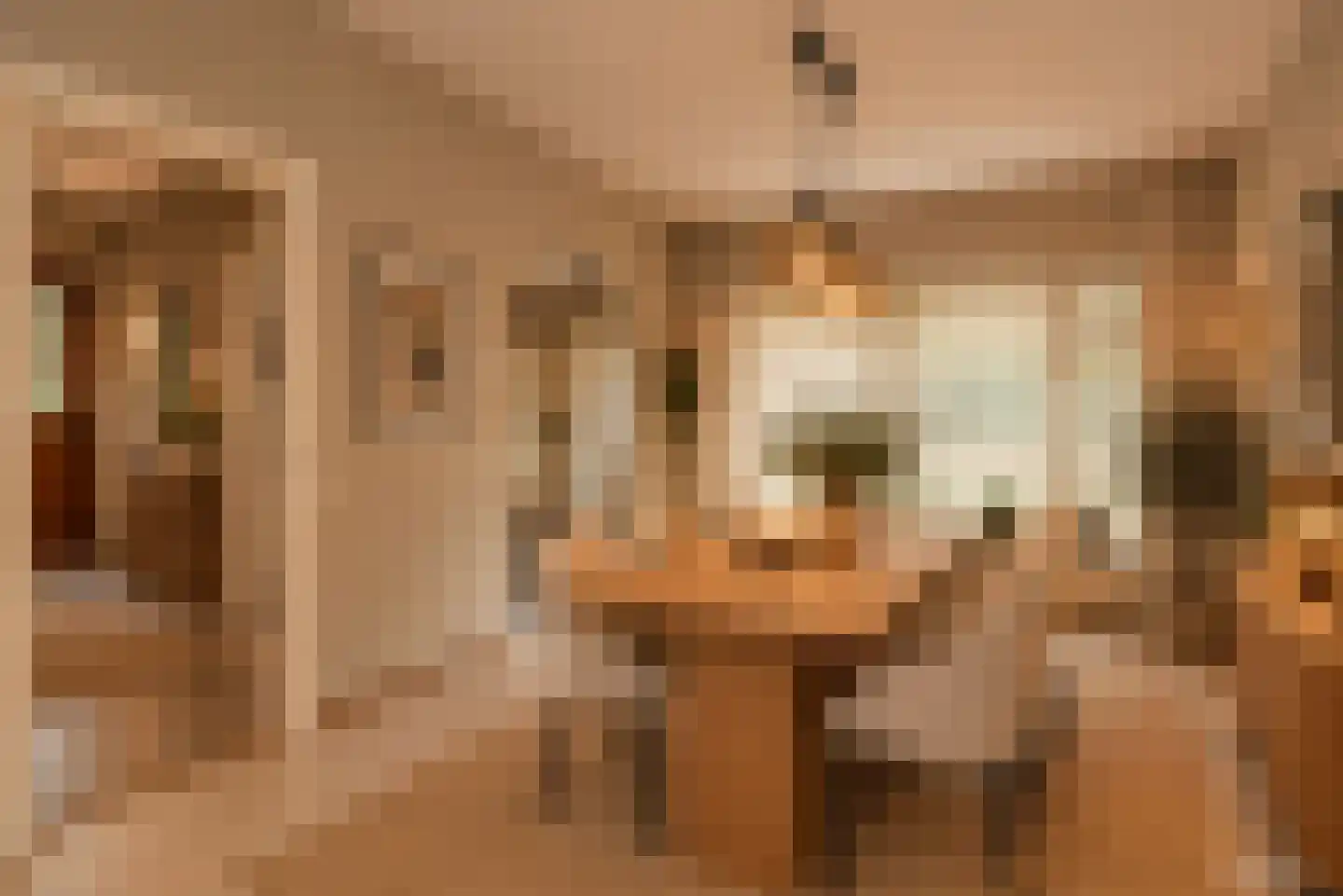 Bijenlaan 4 Weerselo thumbnail 17