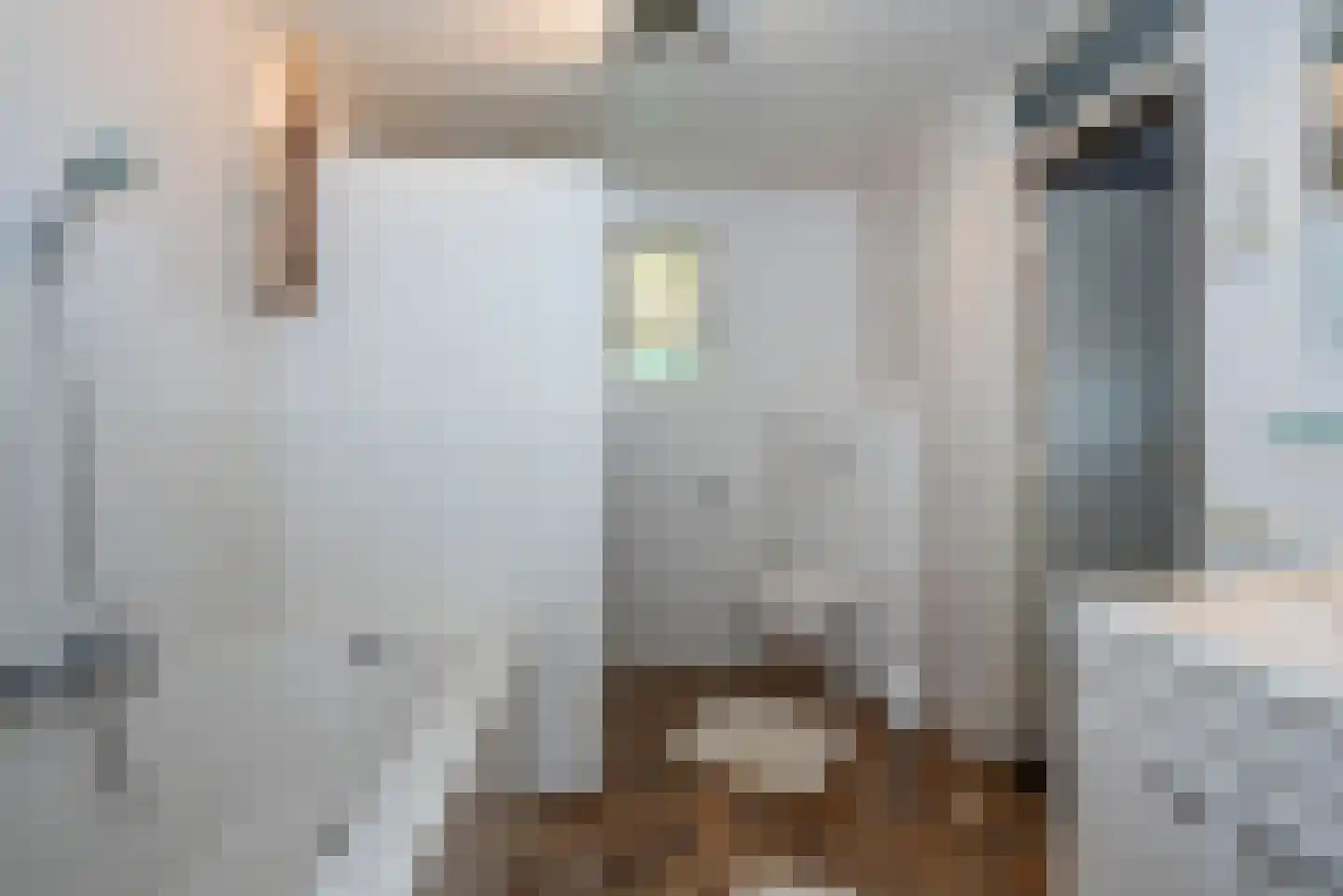 Bijenlaan 4 Weerselo thumbnail 18