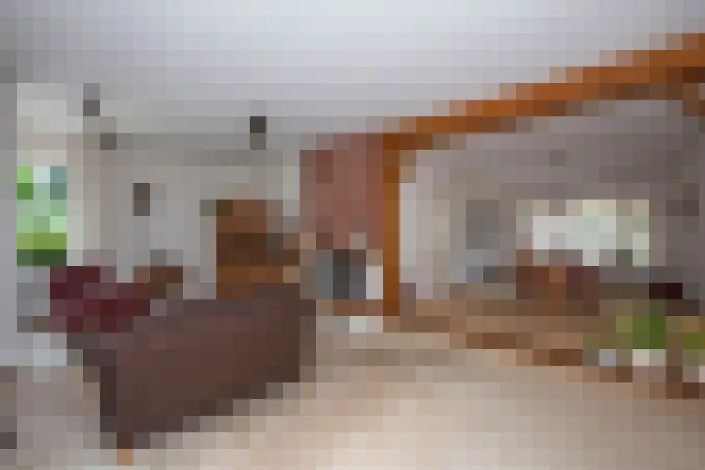 Bijenlaan 4 Weerselo foto 2