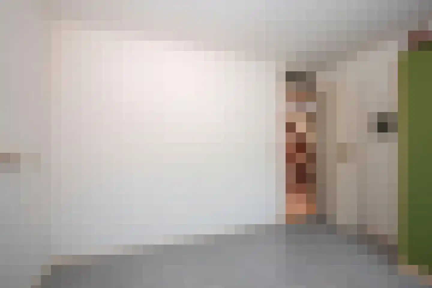 Bijenlaan 4 Weerselo thumbnail 20