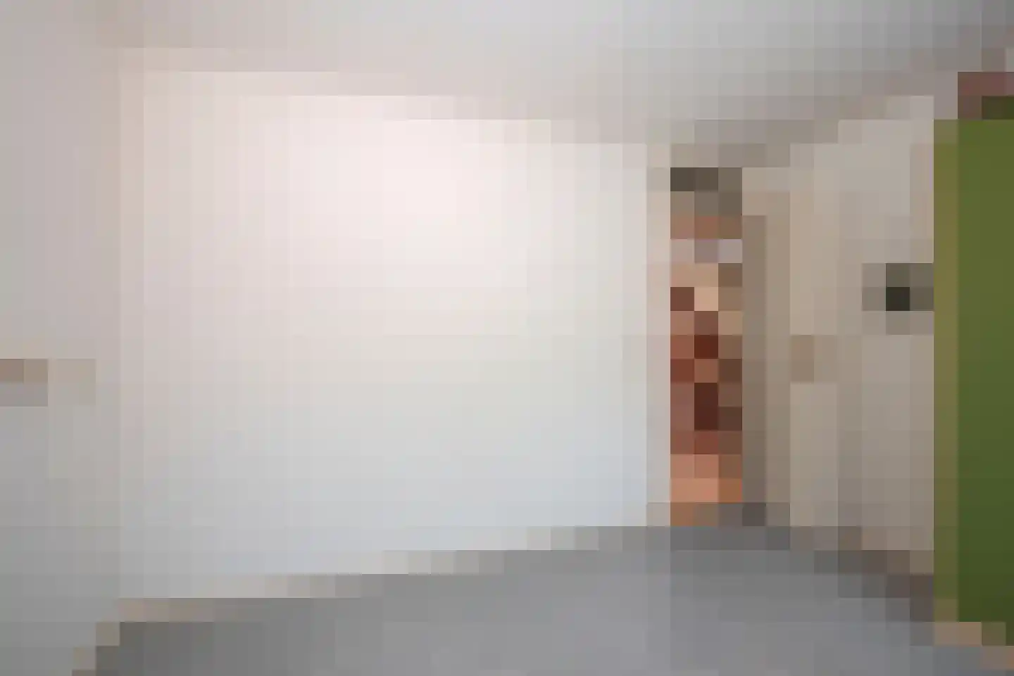 Bijenlaan 4 Weerselo thumbnail 20