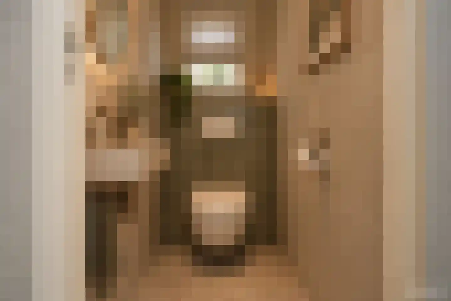 Bijenlaan 4 Weerselo thumbnail 21