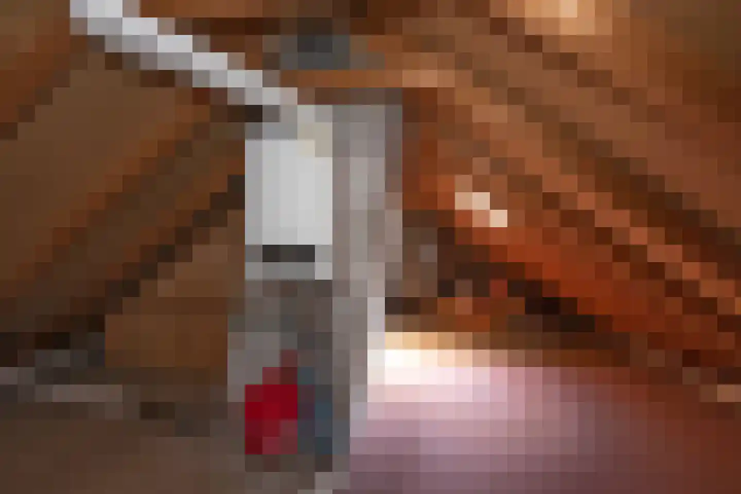 Bijenlaan 4 Weerselo thumbnail 23
