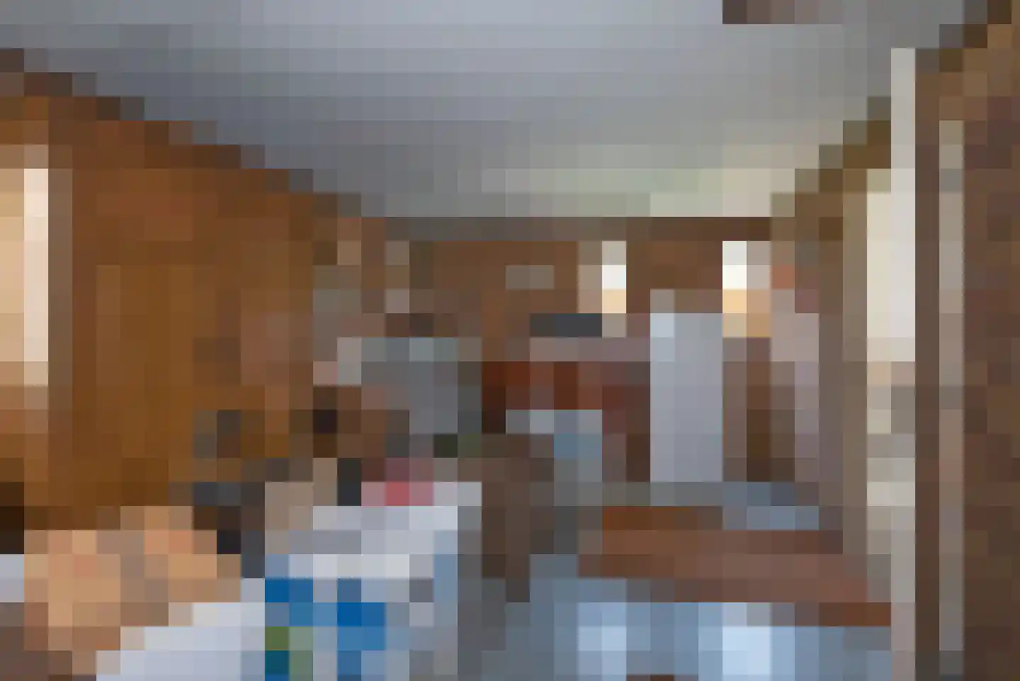 Bijenlaan 4 Weerselo thumbnail 24