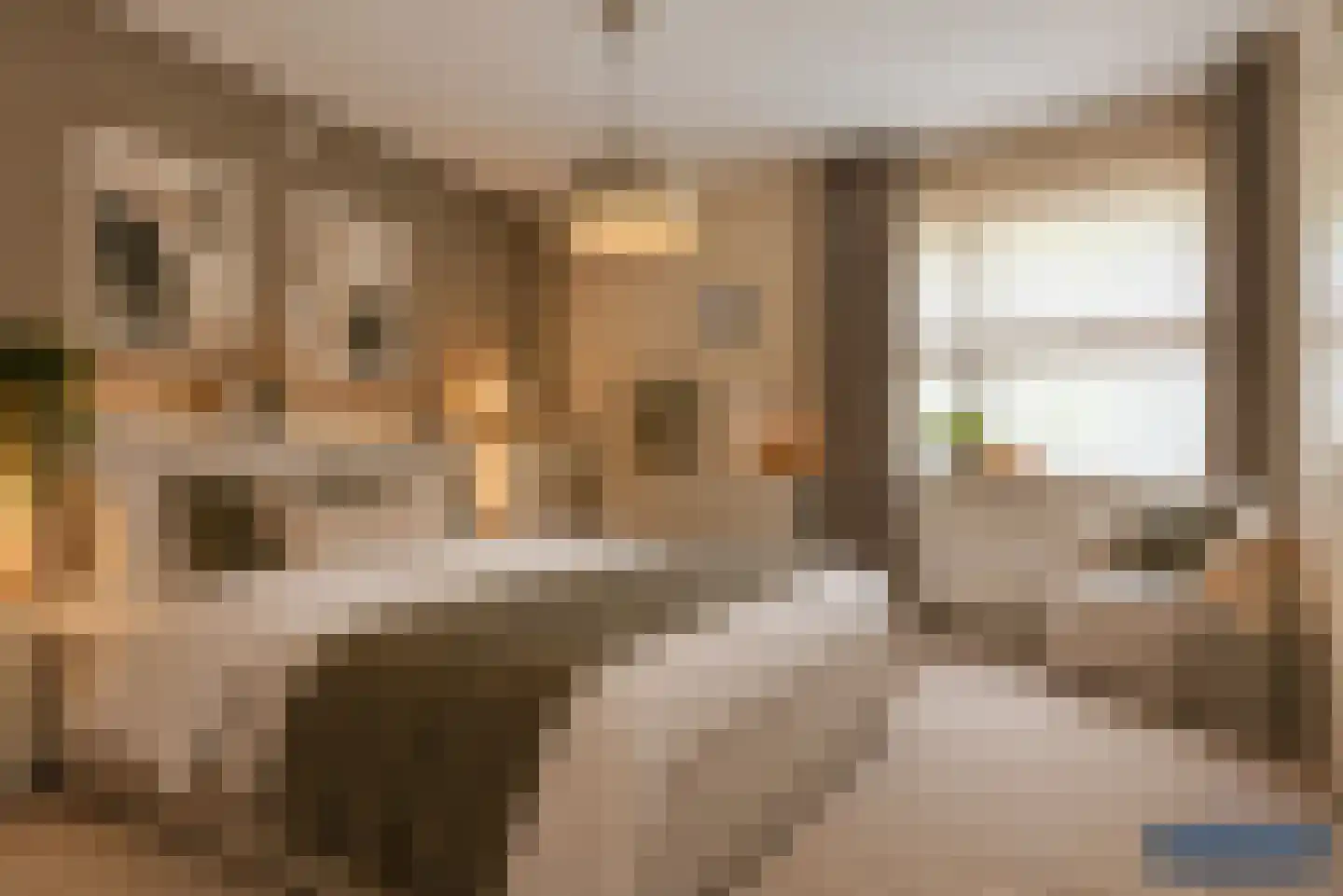 Bijenlaan 4 Weerselo thumbnail 24