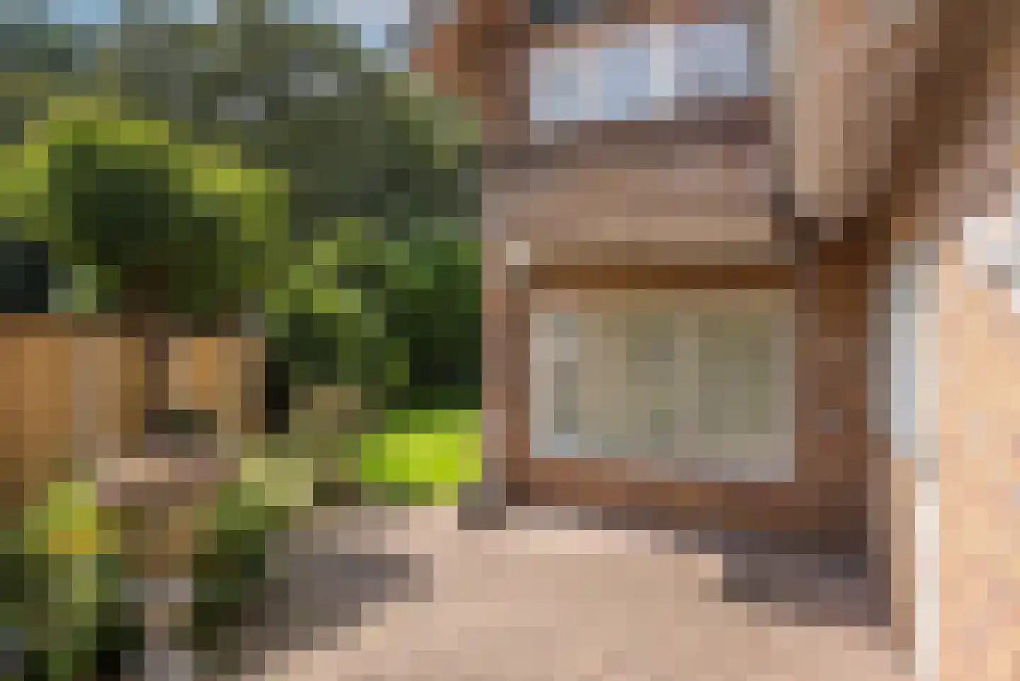 Bijenlaan 4 Weerselo thumbnail 26