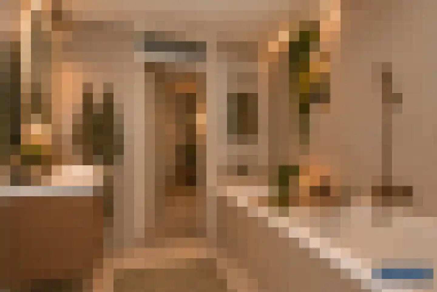 Bijenlaan 4 Weerselo thumbnail 27