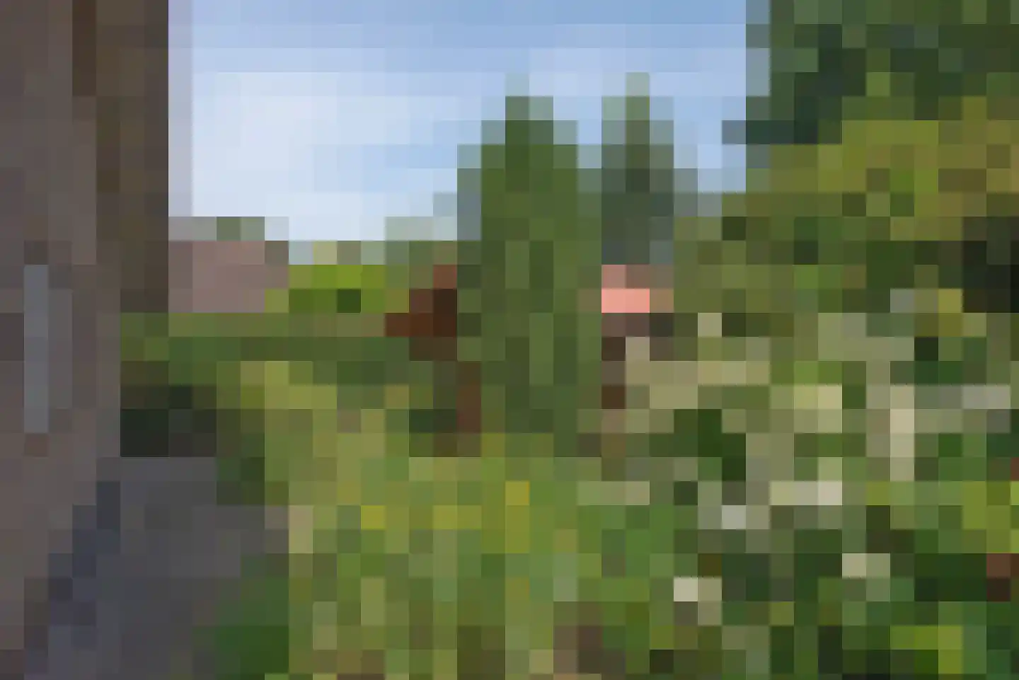 Bijenlaan 4 Weerselo thumbnail 29