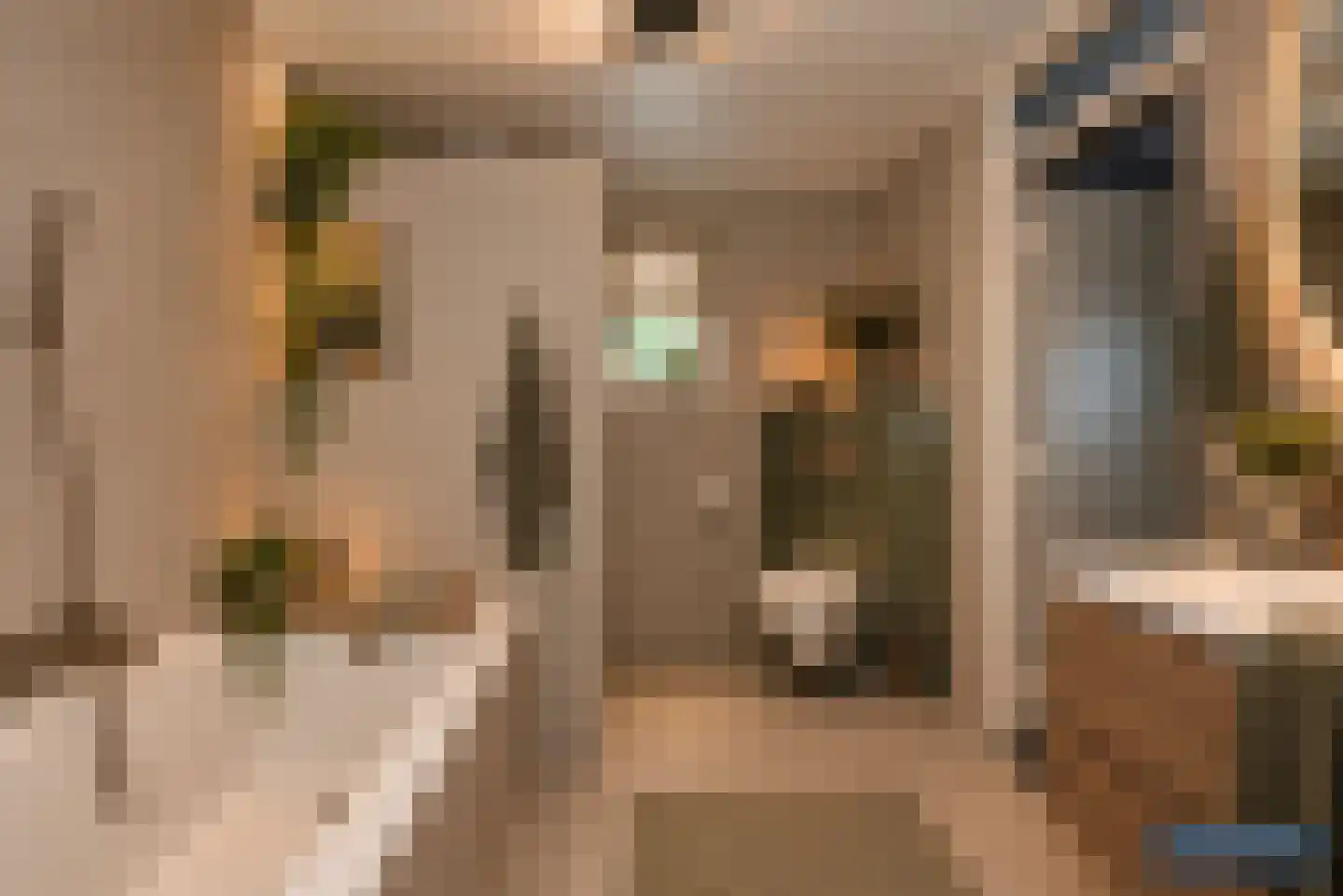 Bijenlaan 4 Weerselo thumbnail 29
